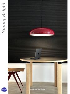 Red Modern Simple Suspended Light