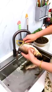 Alat Pembersih Pelepas Pencabut Penghilang Pengikis Sisik Ikan Stainless Steel Anti Karat | Source Project