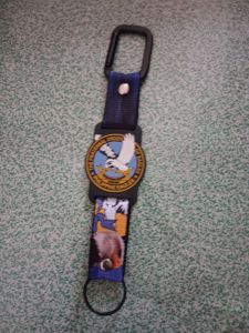Eagles Key Holder