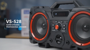 VS-528 Portable Rechargeable Karaoke Speaker 30W Dual 5.25 Inch Bluetooth USB TF AUX FM Radio Equalizer LED Light with Remote Control