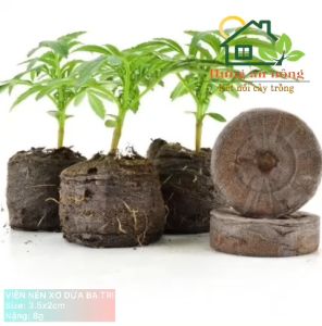 50 viên nén xơ dừa ươm hạt giống thương hiệu Batri - size 3.5x2cm