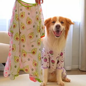 Áo liền quần có tay cho Chó Mèo bằng vải polyester mỏng thoáng mát - Love Pets Shop