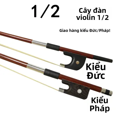 Cung Violin Cello Double Bass Cho Trẻ Em