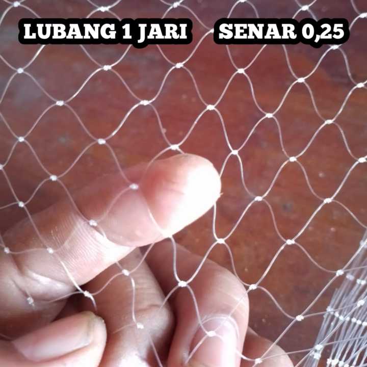 jaring%20anco%20ukuran%203%C3%973meter%20ukuran%20lubang%201%20inch%20atau%201%20jari%20,sirib%20ikan%20tangkul%20ikan,%20branjang%20-%20Image%203