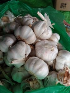 Bawang Putih 500gr