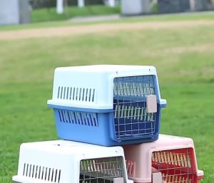 LỒNG VẬN CHUYỂN CHÓ MÈO LỒNG VẬN CHUYỂN HÀNG KHÔNG CHO THÚ CƯNG