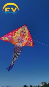 [FREE STRING] FY 1.6M Adult Kid Flying Kite Aeroplane Long Tail Outdoor Beach Games  Layang Layang Besar