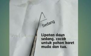 PISAU SADAP KARET UNGGUL BAJA/PISAU DERES KARET ASLI SUPER TAJAM