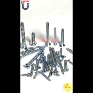 GALVANIZED METAL SCREW #7 #8 #10 (100PCS) SELF-TAPPING PANHEAD | FLATHEAD