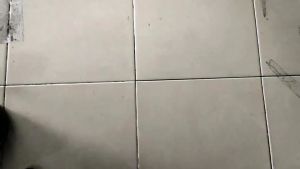 AMINI Paketan Selang Air 3 Meter Sampai 10 Meter Selang Hijau Semprotan Air Dengan Selang Benang Anti Lumut Cuci Mobil Siram Tanaman Alar Semprot Watergun Jet Spray Selang Kebun