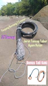 Jebakan Jerat Racik Tabur Ayam Hutan 21 Tancap