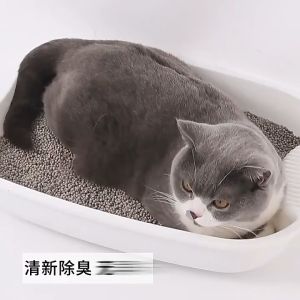 15-10-5-2-1 KG - Pasir gumpal wangi kucing  PILIHAN AROMA-JAPAN QUALITY-