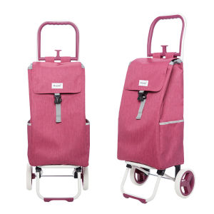 Hsxbb New Arrival Heat Preservation Convenient Shopping Cart Luggage Trolley Cart Trolley Old Mans Car Lever Car