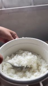 Rice Cooker Mini Low Watt Multifungsi Penanak Nasi Anak Kos