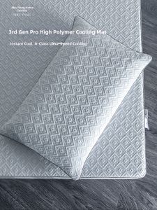 shui yang | Antibacterial Washable Ice Silk Mattress