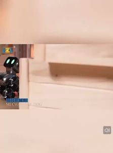 Eight Wheel Mechanical RC Stunt Hand Gesture Controller Intelligent Remote Control Robot Toy