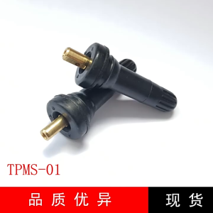 Van cảm biến áp suất lốp nhựa Van áp suất lốp cảm biến áp suất lốp lõi dồng TPMS