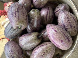 buah pepino put fresh 1kg berkualitas budidaya ciwidey