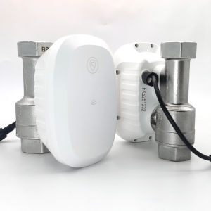 วาล์วน้ำ Tuya ควบคุมผ่าน WiFi พร้อมมิเตอร์วัดปริมาณน้ำ รองรับการรดน้ำอัตโนมัติ น้ำร้อน รองรับ Alexa และ Home Assistant