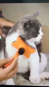 Professional Puppy Cat Hair Grooming Slicker Comb