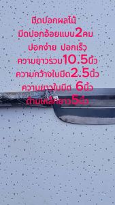 มีดอรัญญิก มีดปลอกผลไม้ มีดปอกอ้อย 2คมยาว9.5นิ้ว มีดปอกอ้อยสแตนเลส