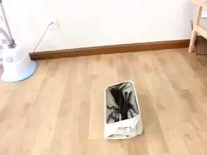 Wheeled Oxford Laundry Basket Trash Can with Universal Wheel Foldable Dirty Clot