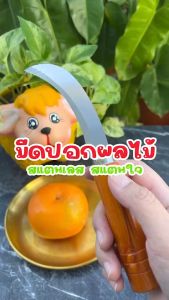 มีดสแตนเลส 💥 มีดปอกผลไม้ หั่นสับปะรด (ด้ามไม้แบบโค้ง)