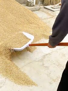 Xẻng Nhựa Cỡ Đại Làm Từ Nhựa PVS Siêu Cấp Xúc Ngô Lúa Gạo Trong Công Nghiệp Thức Ăn Cho Gia Cầm Chịu Lực Cao Đàn Hồi Tốt