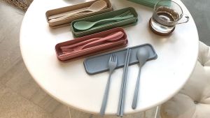 Set thìa đũa dĩa ăn cơm tặng kèm hộp đựng LILA B3THIADUALM1