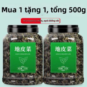 Nấm Ăn Tươi Thiên Nhiên Sấy Khô Cải Đất