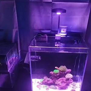 Aquarium LED Light 18W Sea Water Lights 3W Chips Saltwater Lighting Clip-on Lamp Marine Coral Reef Fish Nano Tank Sunrise Sunset