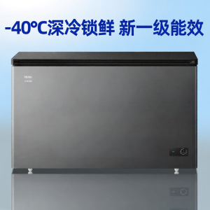 Energy-efficient Commercial and Home Dual-use Freezer 308L
