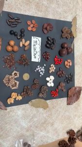 Paket Kolase Biji Aneka Biji-Bijian Kerajinan Tangan Bahan Prakarya Properti Foto Dekorasi Rustik