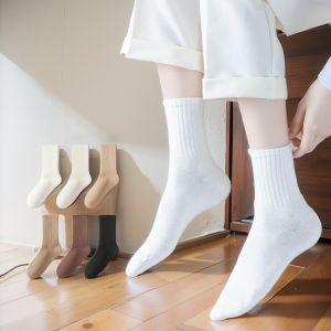 ถุงเท้าผ้าฝ้ายลายทางสีขาวสำหรับฤดูใบไม้ผลิและฤดูร้อนสำหรับผู้หญิง ถุงเท้าสั้นแบบสวมข้อสั้น ดูดซับเหงื่อ ถุงเท้าสีพื้น