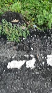 0800 (COD) Sticker Decal DTRACKER FullBody Bebas Request Terbaru - Sticker Premium DTRACKER Terbaru - Sticker Variasi DTRACKER Terbaru - Sticker Striping DTRACKER Terbaru