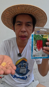 เมล็ดพันธุ์ พริกชี้ฟ้า เจียไต๋