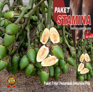 Buah Jambe atau Buah Pinang Muda Fresh 1 Kg / Herbal Penambah Energi Pria Tahan Lama Alami