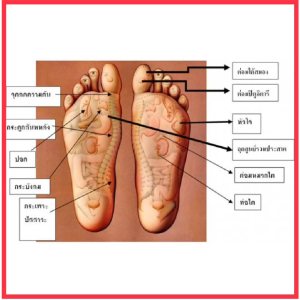 แท่นนวดเท้าไม้แบบโค้ง นวดกดจุดสะท้อนเท้าเพื่อสุขภาพ