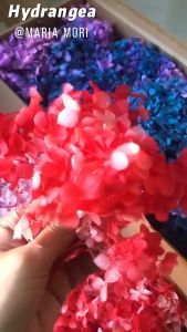 Gradient Color Preserved Hydrangea Home Decoration Wedding Decoration Small Leaf Anna Hydrangea Epoxy Handmade DIY Material