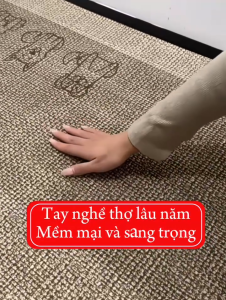 Thảm chân sang trọng phòng khách phòng ngủ nhiều kiểu dáng chống trượt vải nhung cao cấp sạch sẽ dễ giặt