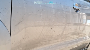 Sher Car Shampoo w/ Wax