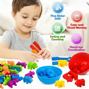 FUNToy Anak Classification Toy with FREE Sorting Bowl (TABUNG) and 2 Tweezers Counting and Sorting Montessori Game dengan Mangkok sortir dan jepitan