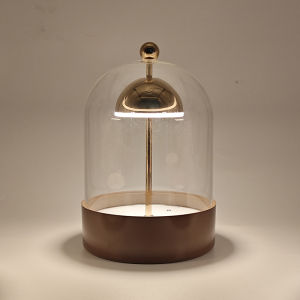 Modern Simplicity Glass Bell DIY Eternal Flower Table Lamp Three-Color Dimming Touch Switch USB Charging Home Decor Accessories