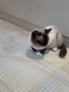 Cat Scat Mat with Spikes Deterrent Mat Cat Repellent Mats Indoor Outdoor Anti Cat Dog 34*43cm