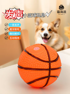 Durable Dog Toy Ball Teddy Corgi Teeth Grinding Sound Making Energy Consuming Pet Depriving Boredom Dog Toys Cat Toshiz