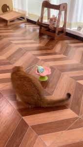 Rat Tail Cat Toy Turnable Cat Teaser