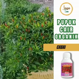Pupuk Cabai Organik Bantu Tingkatkan Produksi Segala Jenis Cabai Cepat Tumbuh By Jagotani Yogyakarta