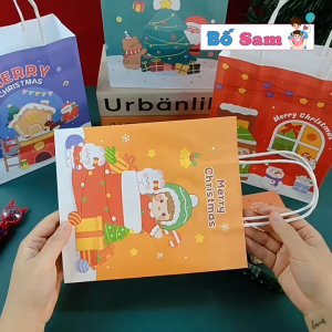 Set 5 Túi đựng quà NoelSize 21x18x8cm túi giáng sinh dễ thương bằng giấy có quai xách quà tặng học sinh Shop Bố Sam