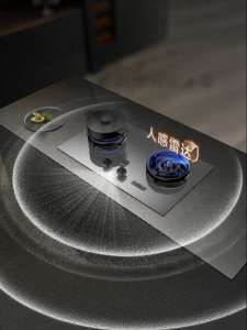 Advanced Timing Safety Gas Stove Twin Burners