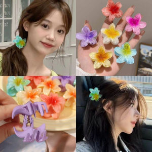 Hoa Sứ kẹp tóc trong suốt màu gradient nhỏ kẹp tóc kẹp tóc hoa ly kẹp tóc cho nữ phụ nữ đi biển Phụ kiện tóc